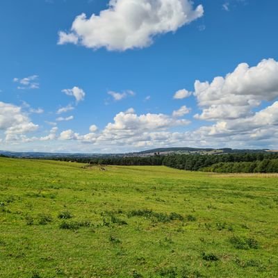 K8KateS's profile picture. 