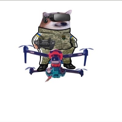 NineWoodward's profile picture. American born. Interested in world affairs, supporting Ukraine, #NAFO, respect for those that serve, dismayed by Republican politics.