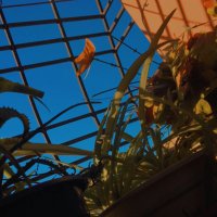 Shiny’🌸’ (@omadios1) Twitter profile photo