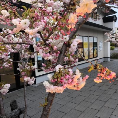 ejy2Wq1AaKY39sq's profile picture. 