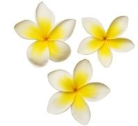 dpatrick14's profile picture. 