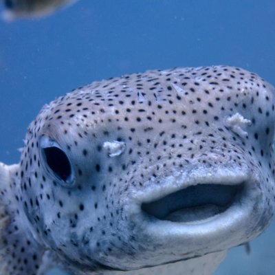 buraginさんのプロフィール画像