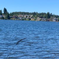 Z.G (@cool74810120) 's Twitter Profile Photo