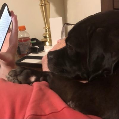 jmangan68's profile picture. 