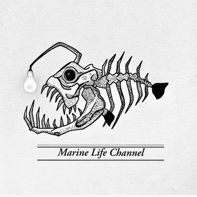 ONG Marine Life Channel