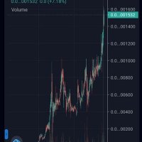 Tom2TheMoon Crypto (@tom2themoon) 's Twitter Profile