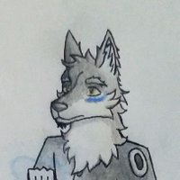 The crazy warrior (@thecrazywarrio2) 's Twitter Profile