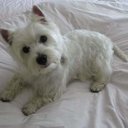 Adrian Pearson - @adr1anpee - Twitter