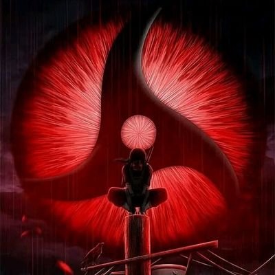 pobi_derrick's profile picture. 
