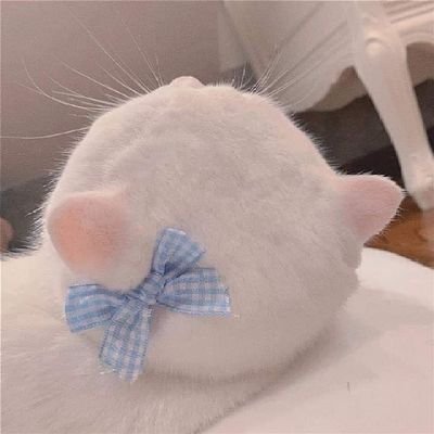 sᴋʏʙʟᴜᴇ 🍼🐈さんのプロフィール画像