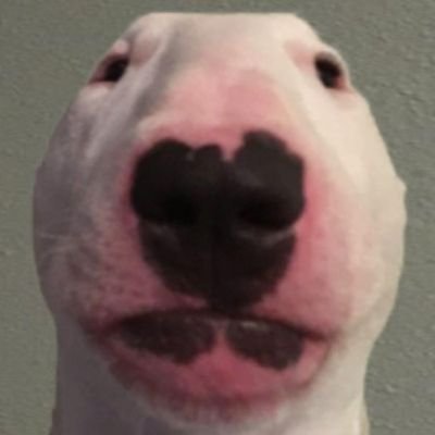 drearywriter09's profile picture. 