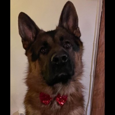 KenjutsuLol's profile picture. 25
Consistant master+ on all roles, 
GM peak euw
Chall peak eune