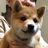 Yoshie Udagawa 宇田川 淑恵 (@yoshie_udagawa) 's Twitter Profile Photo