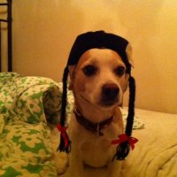 Dj-funchan (@murataofumisan) Twitter profile photo
