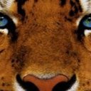 Danny Mancuso - @DannyMancuso9 - Twitter