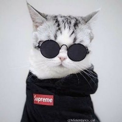 pphetcxz's profile picture. 