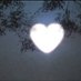 Hunter (@nature4ever0) Twitter profile photo Hunter (@nature4ever0) Twitter profile photo