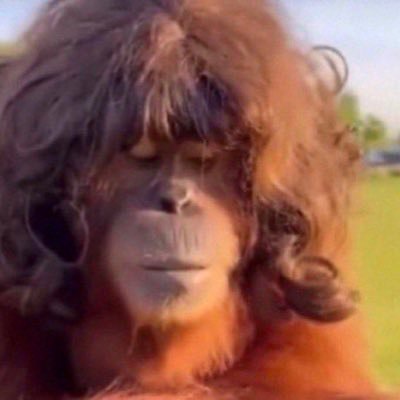 onyxundefiled's profile picture. They/Them; Remember to think critically, or at least think😮‍💨