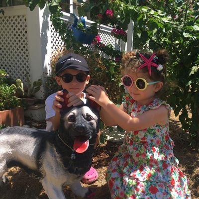 MehmetKiziler5's profile picture. 