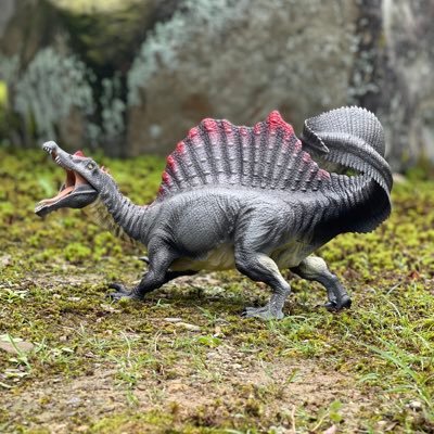 仕事柄、ミリタリー好きです。ジーンズ、レザー等使い込んで育てる物が好き。プラモや戦車模型、フィギュア。ARK、パスオブタイタンズ、地球防衛軍6、7days to die、ウォーサンダー 、FPS全般、プレデター、WWZがメイン。 サバゲーマー。爬虫類、動物全般好きです。現在はASAシングル環境サバイバー