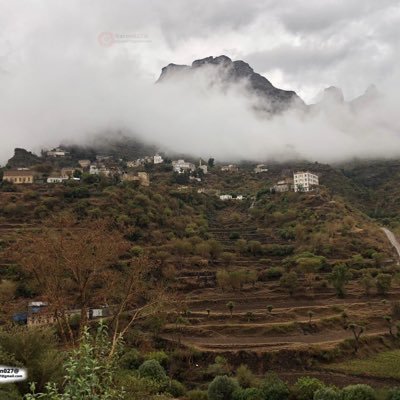 MAlshgaa's profile picture. "وأعرف أني لستُ على هذا القدر من الكمال لكني لا أكذب، وأخشى كثيراً من أكون سبباً في جرح أحد، تقلقني دائماً فكرة أن أنام ويشكوني أحدهم إلى الله".