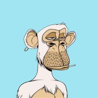 Alick (@adelaide_alick) 's Twitter Profile