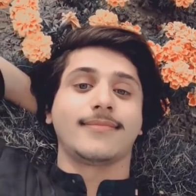 ShahZadMaliko1's profile picture. business