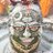 DeepakM40175321's profile image