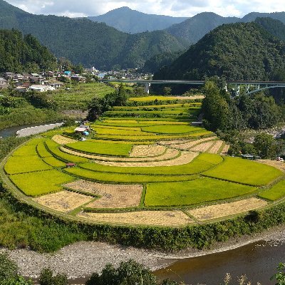 構成作家/月刊コント＆あるあるイベントは毎月やっています/『笑い飯西田のいきいきチューブ』も夏期はほぼ毎週更新ですので是非ご覧下さい。
表現規制反対！