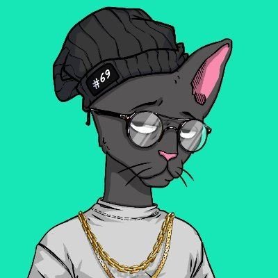 EzraSotoPHP's profile picture. Cets 🤌 | Foxes 🟠 | Degods (33.3%) | Bears 👌🏼 | And every other thing you can think of 🐳From the ashes we rise.@moonbirds. Degen
