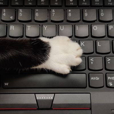 alphaf0x1's profile picture. software, hardware and teaware