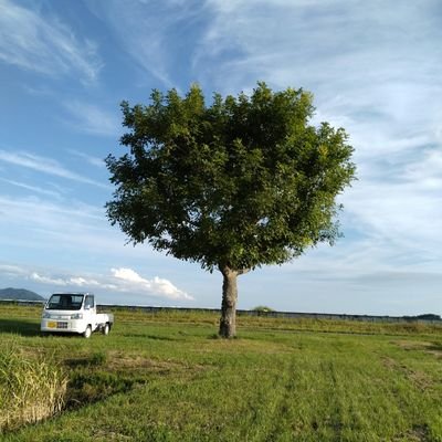 秋田県入植地の二代目稲作農家。
シンボルの一本木は先代が植えたクルミの木。
お米と大豆を作付け産直しています。
長男、市内で一人暮らし。
次男、高校部活で送迎応援の親活中。
三男、猫（茶白🐱）
オフシーズンは映画やNETFLIX、人混み苦手な田舎人。
何て事ないおっさんの戯言です。