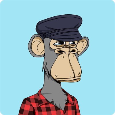 thehound164's profile picture. Crypto Enthusiasts