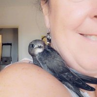 Piou gracia (@piou_gracia) 's Twitter Profile Photo Piou gracia (@piou_gracia) 's Twitter Profile Photo