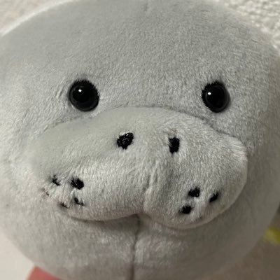 Daidai_Nippon's profile picture. 八百万神🙏有機農家👩🏻‍🌾/地政学/反グローバリズム（NOT右NOT左）/日本を守ります🇯🇵/日本の為にがんばる議員は政党問わず応援します🎌✨※FF外は通知がほぼ届きません※後で見返したいツイートに迷子防止でいいね・RPする場合があります※DM❎