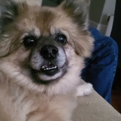 Encanta12's profile picture. Old woman that lives in a shoe