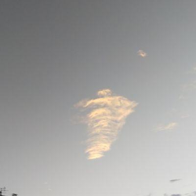 heme_kuko's profile picture. ただ、汚物