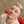 Томатный Супчик 18+ 🚘📌⛷ (@wouldntfix) profile picture