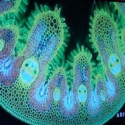 Lookup123456789's profile picture. 