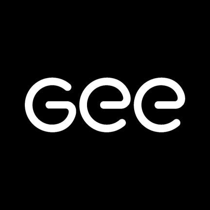 geedevelopers's profile picture. Software Development Company