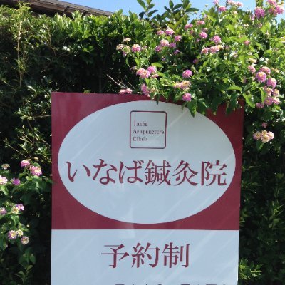 沼津で妊活鍼灸専門治療院経営/2007年地元で開業/施術問い合わせはHP経由SMSで/Facebookページ→https://t.co/KLQdMlKfam 本業と無関係なツイート多め（2023還暦で放送大学卒業・ギター・瞑想・富士山・クレカ・インデックスは米国派）Xで議論はしない。