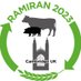RAMIRAN2023 (@ramiran2023) Twitter profile photo RAMIRAN2023 (@ramiran2023) Twitter profile photo