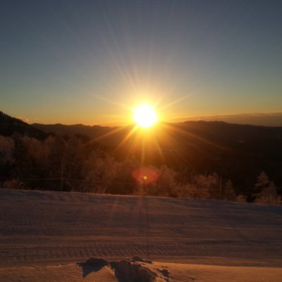 mitaya4663's profile picture. 