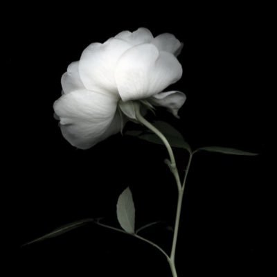 عبدالله الهاشمي .🍃