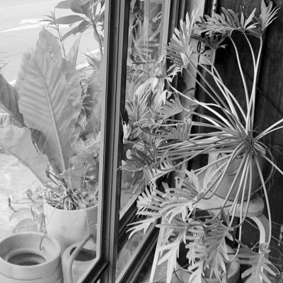 fe1cudh's profile picture. a snow field that no body stepped on