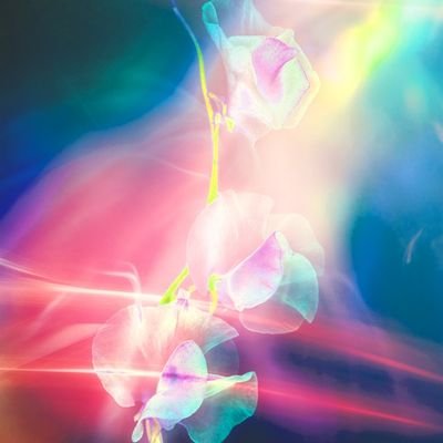 shunphotography's profile picture. photographer