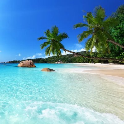 gkal1964's profile picture. Nothing to see here. Move on!