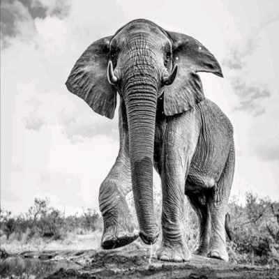 Loop lank... endeavour follower! goal is to follow 1.5m tweeppers.🇿🇦 Out of CONTEXT.. The Translator mtech7201@gmail.com