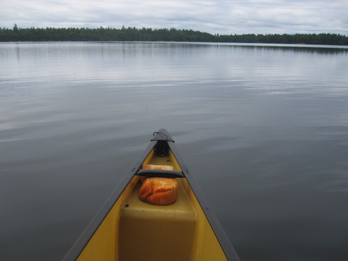 Mtpercival's profile picture. 