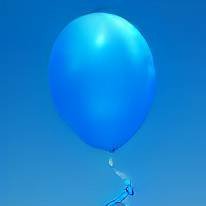 bubblect1's profile picture. just go with the flow
